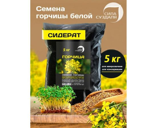 Семена горчицы Сила Суздаля 5 кг 4680004064213 – изображение 6