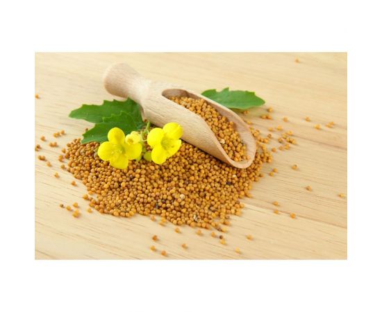 Семена горчицы Сила Суздаля 5 кг 4680004064213 – изображение 5