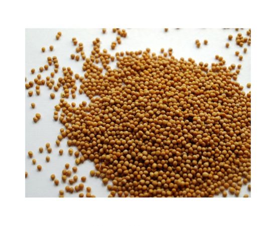 Семена горчицы Сила Суздаля 5 кг 4680004064213 – изображение 4