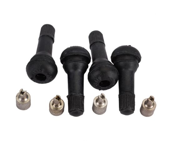 Комплект ниппелей с колпачками для шин Riginal TR14/R15/R16/R17 RG3100002 