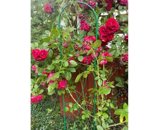 Разборная шпалера ООО Ярмарка-Тверь Элегия зеленая, труба диам. 10 мм, рисунок проволока 4 мм Т856 – изображение 4