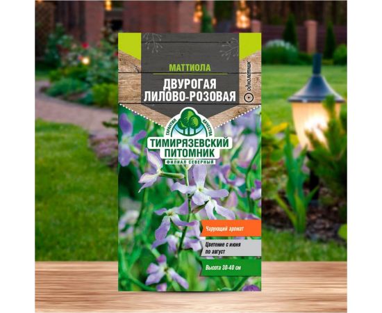Семена Тимирязевский Питомник цветы маттиола двурогая Лилово-розовая 0.5 г Of000109485 – изображение 2