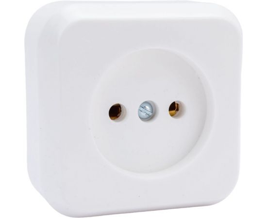 Розетка ООО Ливны-Электро РА 10-007 белая РАф 724 – изображение 4