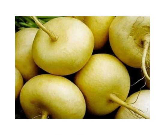 Семена Тимирязевский Питомник репа Петровская среднеранние, 0.5 г Of000095573 – изображение 2