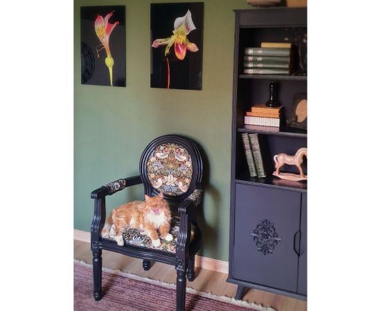 Краска для мебели и декора ATURI Design Меловой бархат mia черный бархат, 0.83 кг T1-00010850 – изображение 22