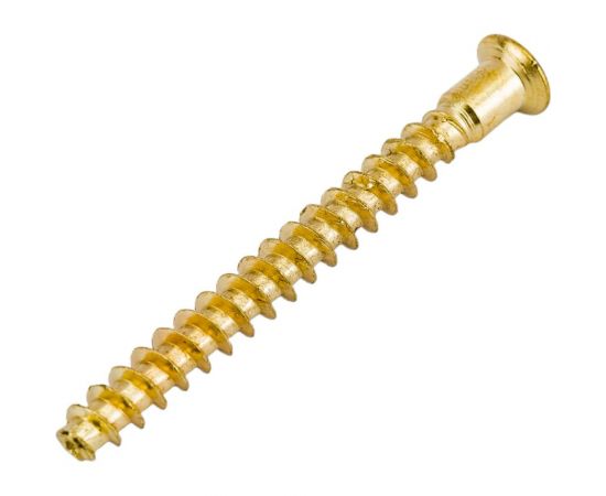 Меб. шуруп-стяжка ЕВРОПАРТНЕР латунир., 5x50 мм, 18 шт. 6 1622 1 