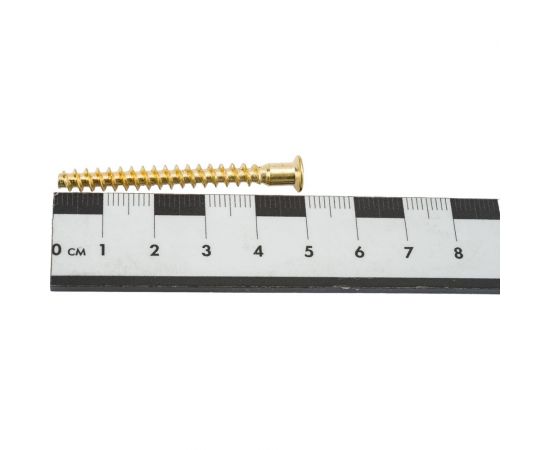 Меб. шуруп-стяжка ЕВРОПАРТНЕР латунир., 5x50 мм, 18 шт. 6 1622 1 – изображение 2