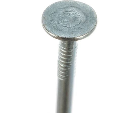 Гвозди ЗУБР с большой потайной головкой, оцинкованные, 50 х 3.0 мм, 5 кг, (примерно 1540 шт.) 305090-30-050 – изображение 3