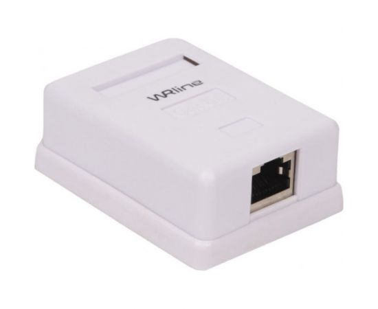 Одинарная экранированная компьютерная розетка WRline WR-WS-8P8C-C5E-SH-1 RJ-45, категория 5e внешняя, Dual IDC, цвет белый 505217 