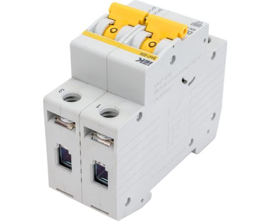 Автоматический выключатель IEK ВА47-60M 2Р 25А 6кА D MVA31-2-025-D – изображение 3