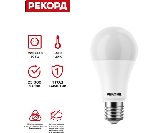 Светодиодная лампа РЕКОРД LED A60 14W E27 4000K 24369 – изображение 6