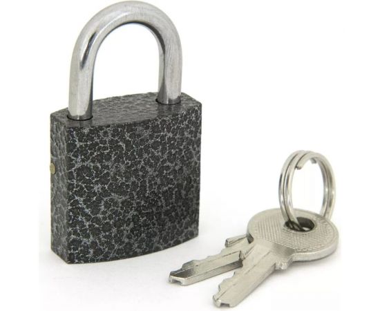 Навесной замок Palladium 303F-25 00009262 