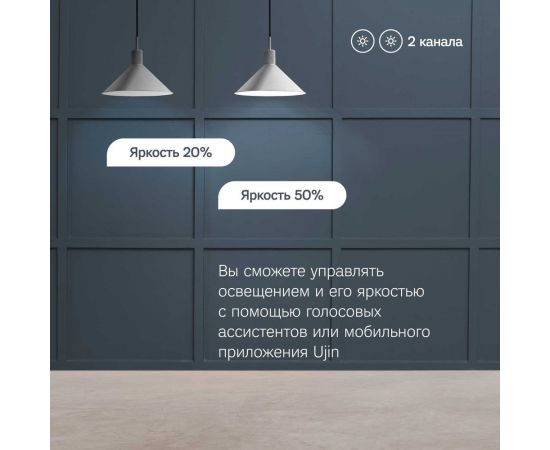 Встраиваемый электрический диммер Ujin WiFi ED-10000-0 – изображение 2