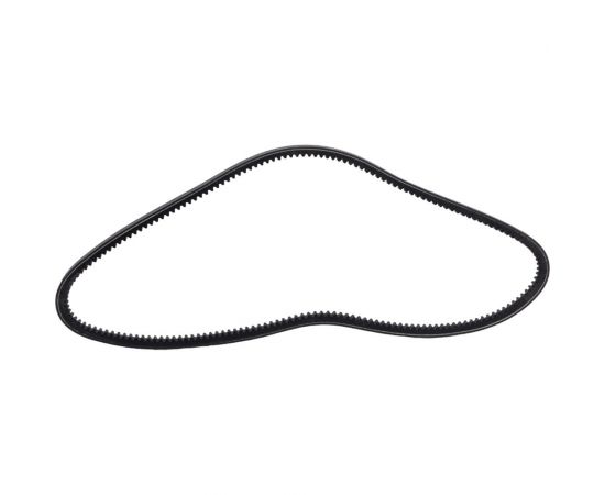 Зубчатый ремень Globelt AVX13x1100 – изображение 4