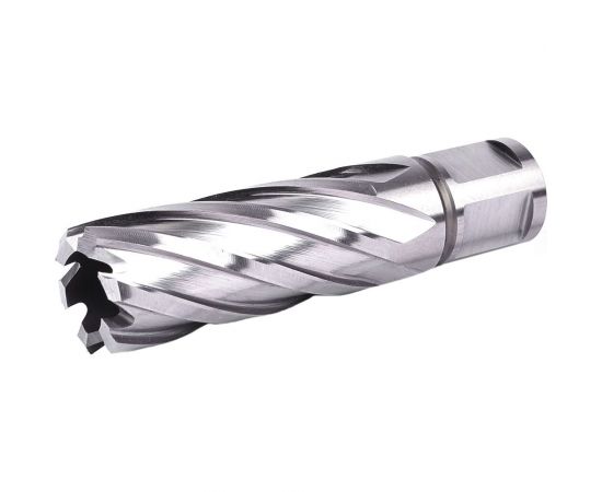 Фреза кольцевая №15 (22х55/88 мм; WELDON19; HSS M2) Профоснастка 40101015 