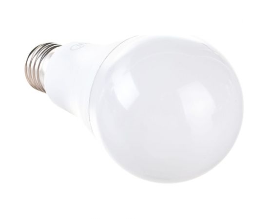 Светодиодная лампа General Lighting Systems WA60-20W-E27-690000 