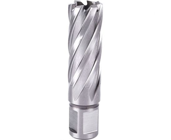 Фреза кольцевая №15 (22х55/88 мм; WELDON19; HSS M2) Профоснастка 40101015 – изображение 3