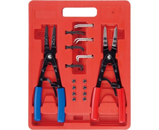 Съемник стопорных колец 2 шт со сменными носами 10" AE&T TA-H1036 