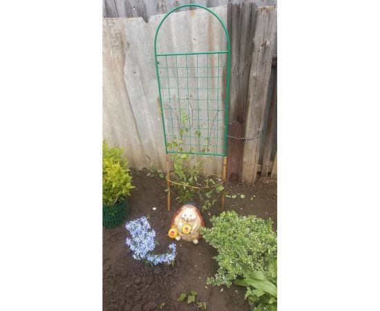 Разборная шпалера ООО Ярмарка-Тверь Сетка зеленая, труба диам. 10 мм ИР702 – изображение 3