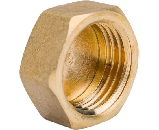 Заглушка LD PRIDE 1/2 вн латунь 549714 – изображение 3