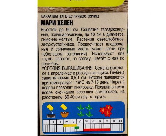 Семена Тимирязевский Питомник цветы Бархатцы (Тагетес) прямостоячие Мари Хелен 0.3 г Of000132238 – изображение 2