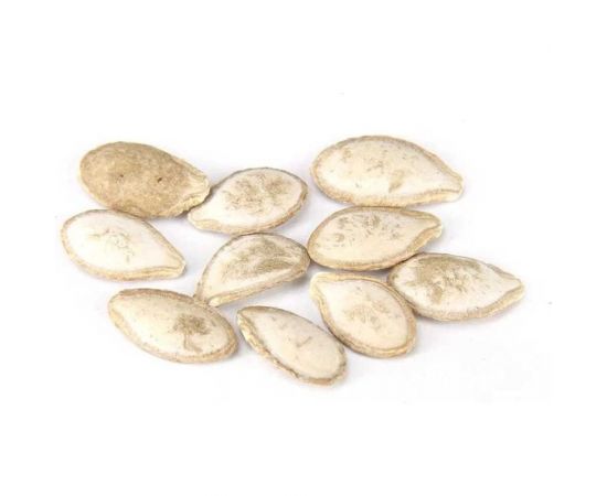 Семена ОКТЯБРИНА ГАНИЧКИНА Тыква мускатная Жемчужина 1.5 г 122836 – изображение 3