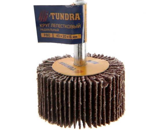 Круг лепестковый радиальный (40х20х6 мм; Р80) ТУНДРА 5162353 