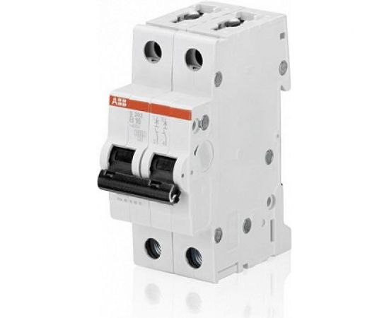 Автоматический выключатель ABB 2-полюсный S202 B25 2CDS252001R0255 