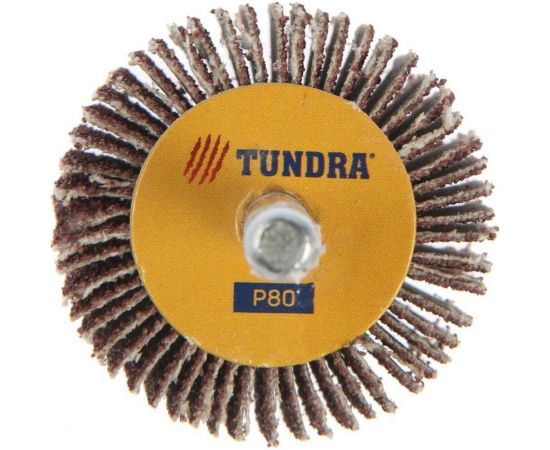 Круг лепестковый радиальный (40х20х6 мм; Р80) ТУНДРА 5162353 – изображение 2