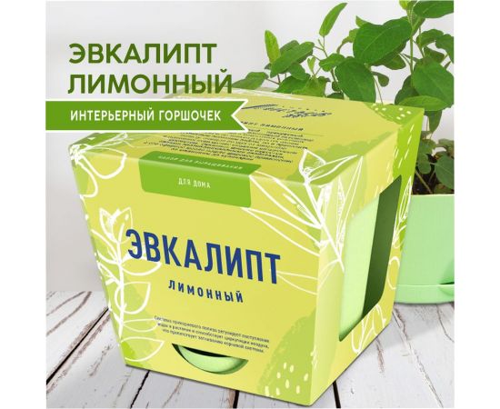Набор для выращивания растений Тысяча Листьев эвкалипт лимонный tl-036 – изображение 4