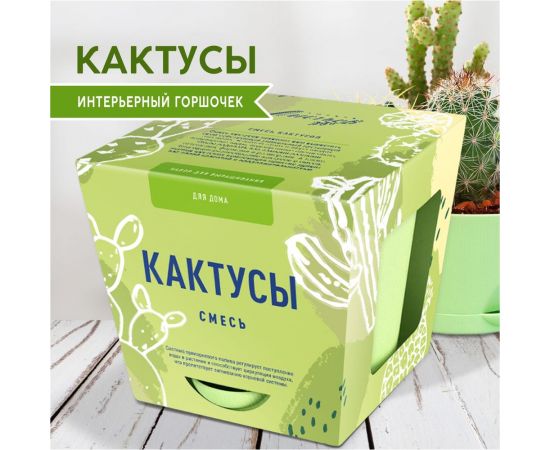 Набор для выращивания растений Тысяча Листьев кактусы tl-035 – изображение 2