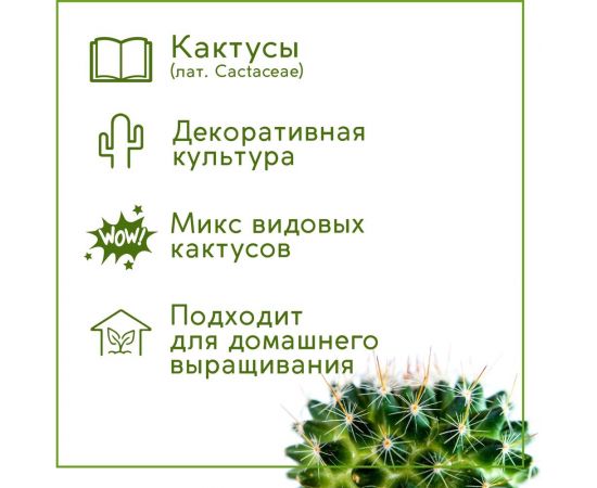 Набор для выращивания растений Тысяча Листьев кактусы tl-035 – изображение 4
