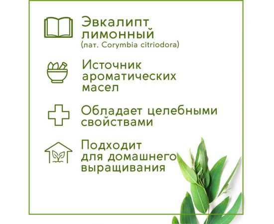 Набор для выращивания растений Тысяча Листьев эвкалипт лимонный tl-036 – изображение 3