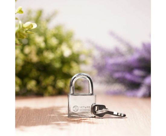 Навесной замок ЧЕТЫРЕ СЕЗОНА Сталь 40 мм 79-0034 – изображение 3