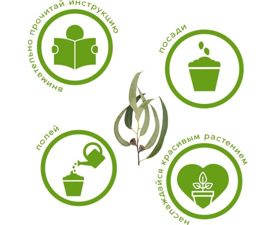 Набор для выращивания растений Тысяча Листьев эвкалипт лимонный tl-036 – изображение 7