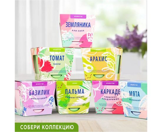 Набор для выращивания растений Тысяча Листьев кактусы tl-035 – изображение 7