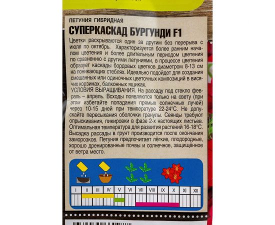 Семена Тимирязевский Питомник цветы петуния Суперкаскад бургунди F1 крупноцветковая, 10 шт. Of000120507 – изображение 3