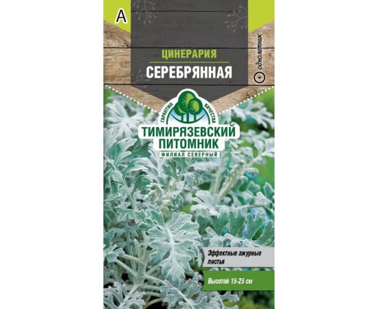 Семена Тимирязевский Питомник цветы цинерария Серебрянная 0.05 г Of000120511 