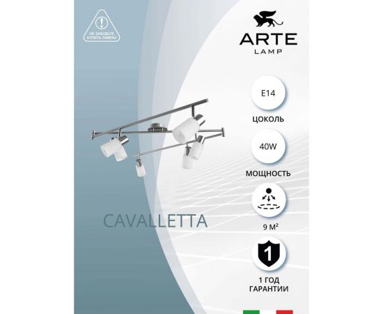 Потолочный светильник Arte Lamp A4510PL-6SS – изображение 3