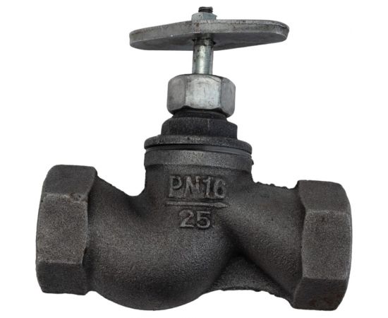 Запорный клапан DN.ru 15кч18п1 Ду25 Ру16 чугунный муфтовый D090-00235 