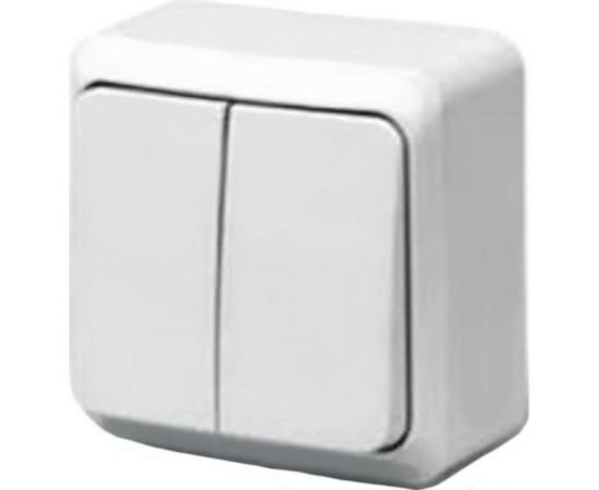 2-клавишный выключатель TANGO белый открытой проводки 10А, 250В 1007252 