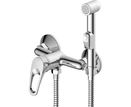 Одноручный смеситель с гигиеническим душем Decoroom DR21058 