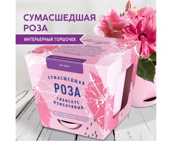 Набор для выращивания растений Тысяча Листьев сумасшедшая роза tl-033 – изображение 7