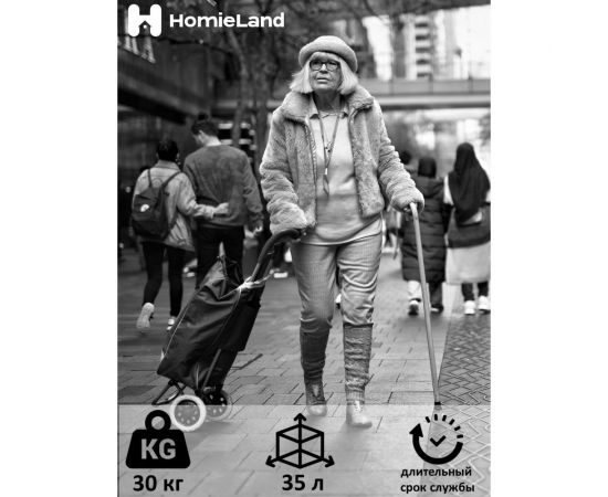 Сумка-тележка HomieLand СТ-6 00-00015475 – изображение 6
