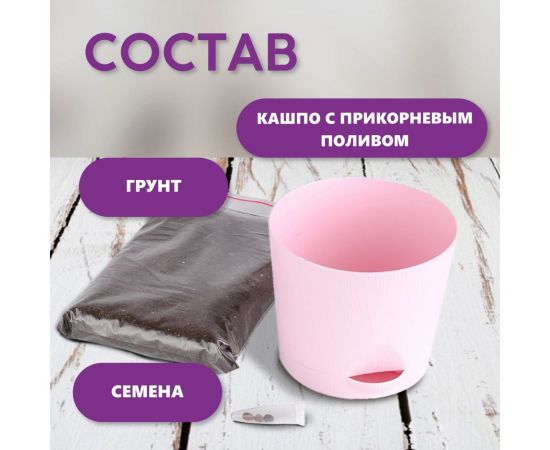 Набор для выращивания растений Тысяча Листьев сумасшедшая роза tl-033 – изображение 5