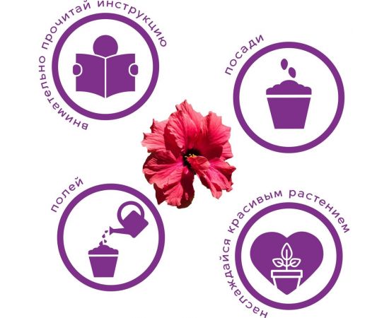 Набор для выращивания растений Тысяча Листьев сумасшедшая роза tl-033 – изображение 2