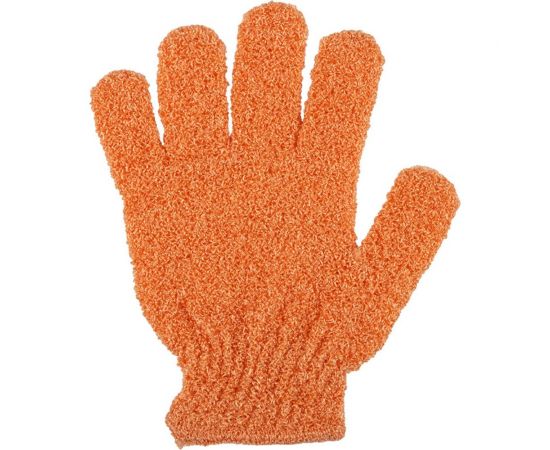 Мочалка-перчатка Рыжий кот BW, нейлон 310516 