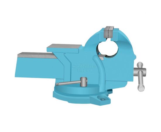 Слесарные тиски РАДИАНТ 200мм чугунные поворотные ТСЧ-200 48007 