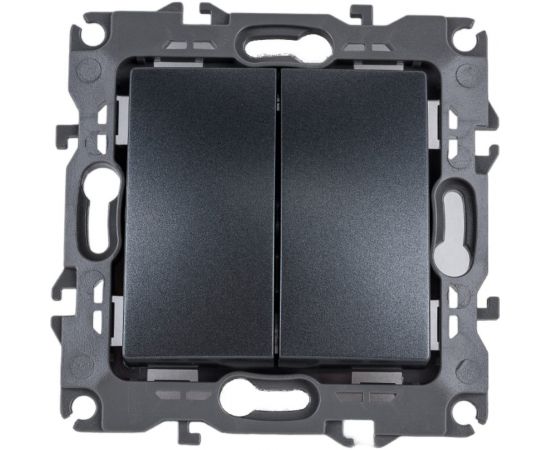 Двойной выключатель ЭРА 12-1104-12 10АХ-250В, IP20, 12, графит Б0019287 