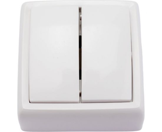 Выключатель ООО МПО Электротехника открытой установки 2 клавишный 1484 